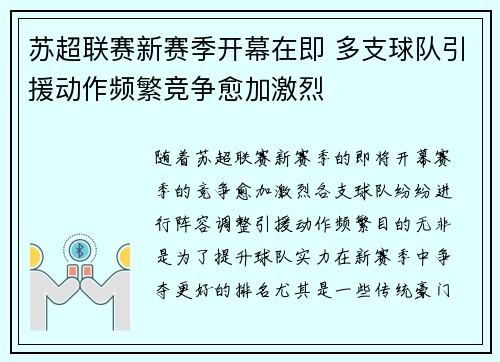苏超联赛新赛季开幕在即 多支球队引援动作频繁竞争愈加激烈
