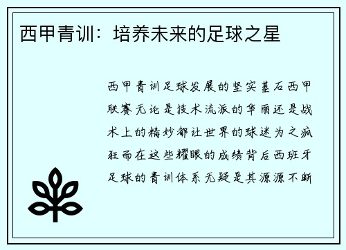 西甲青训：培养未来的足球之星