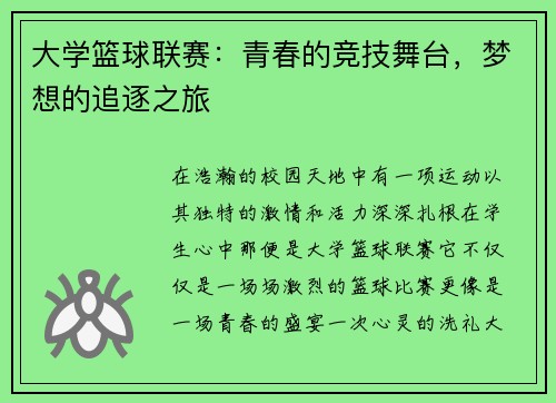 大学篮球联赛：青春的竞技舞台，梦想的追逐之旅